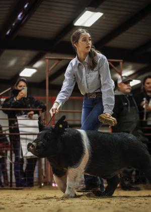 ROTAN 2024 STOCK SHOW RESULTS